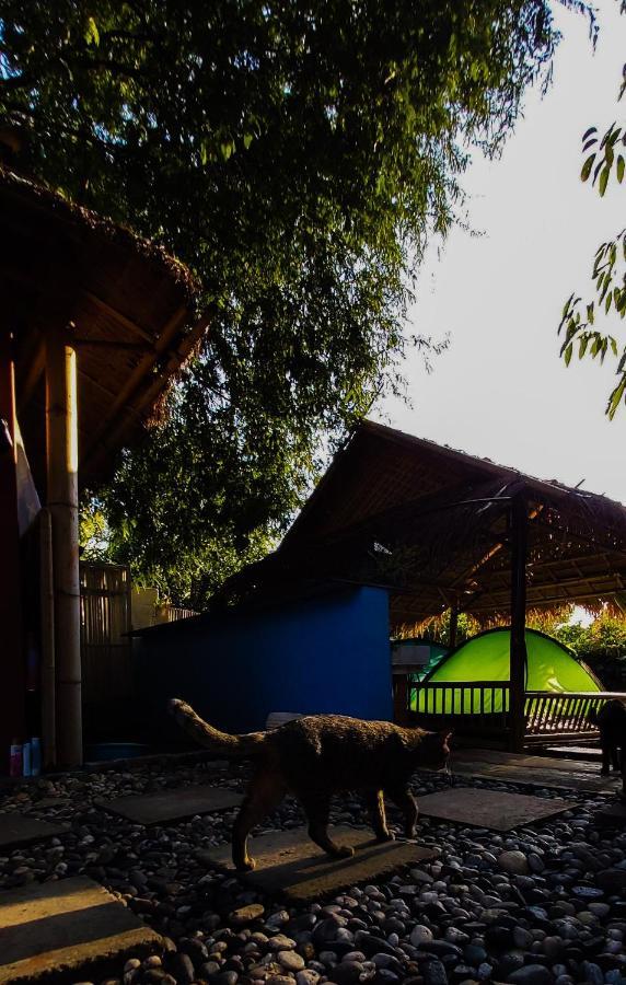 Mapping Hostel Chiang Mai Exterior photo